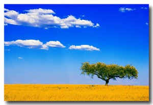 Alentejo